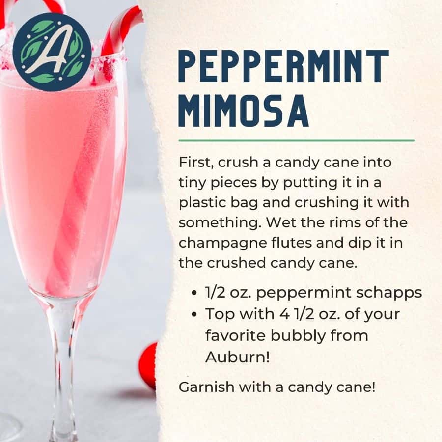 Peppermint Mimosa
